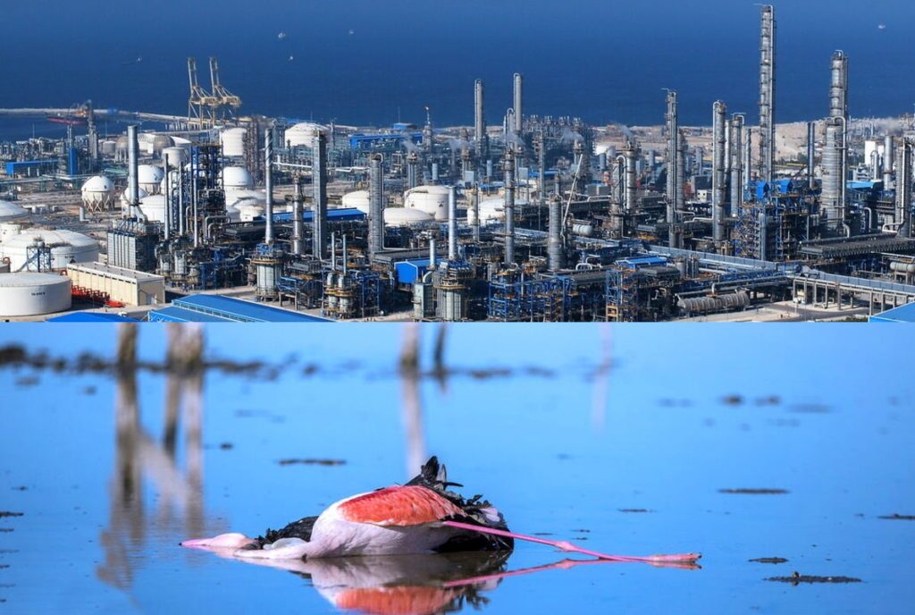 پتروشیمی میانکاله؛ جدال محیط‌زیست با تخلف و بی‌مسئولیتی!