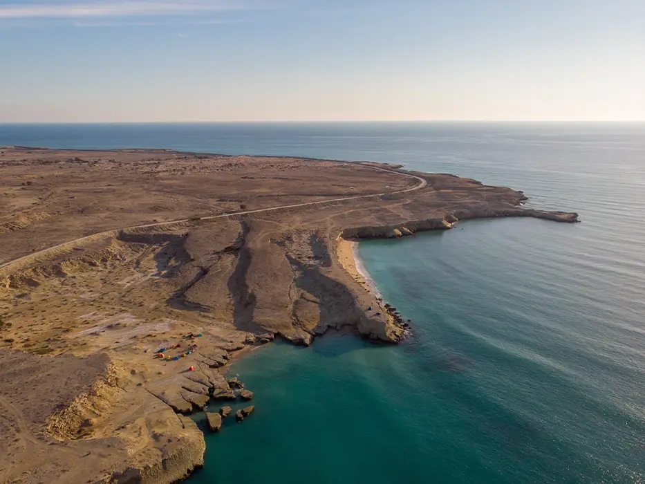 ببینید| ویدئویی از پرنده‌ای با بال‌های عجیب در خلیج فارس