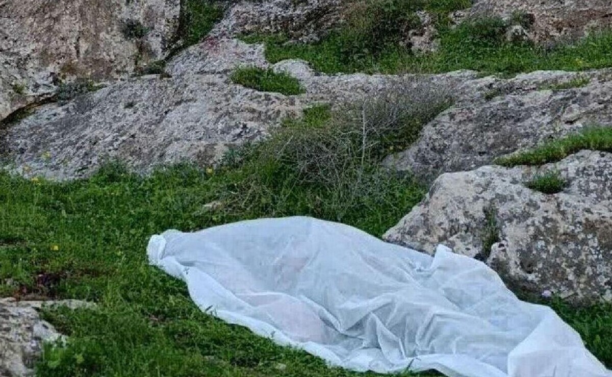 سقوط تلخ دو دختر نوجوان از پشت بام| ماجرا چه بود؟ سقوط تلخ دو دختر نوجوان از پشت بام| ماجرا چه بود؟