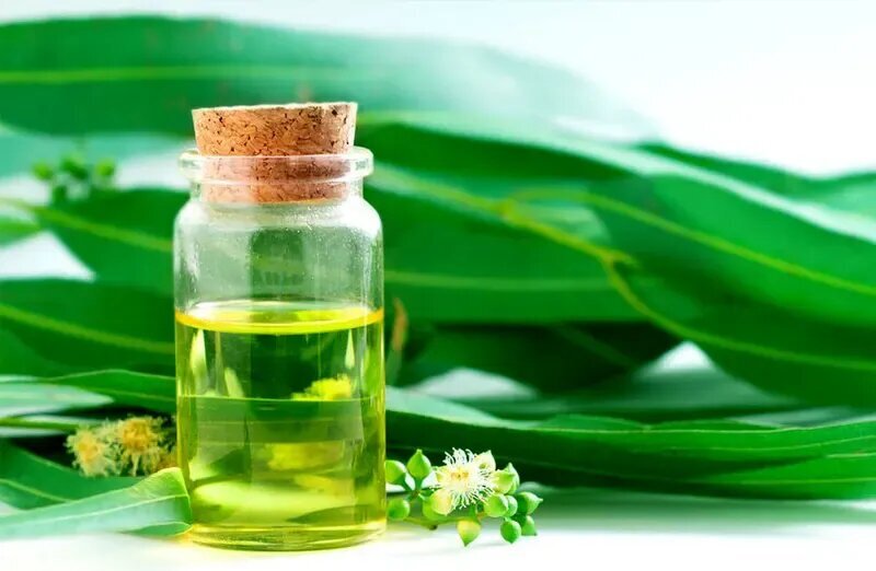 اگر آلرژی بهاری دارید، بخوانید!