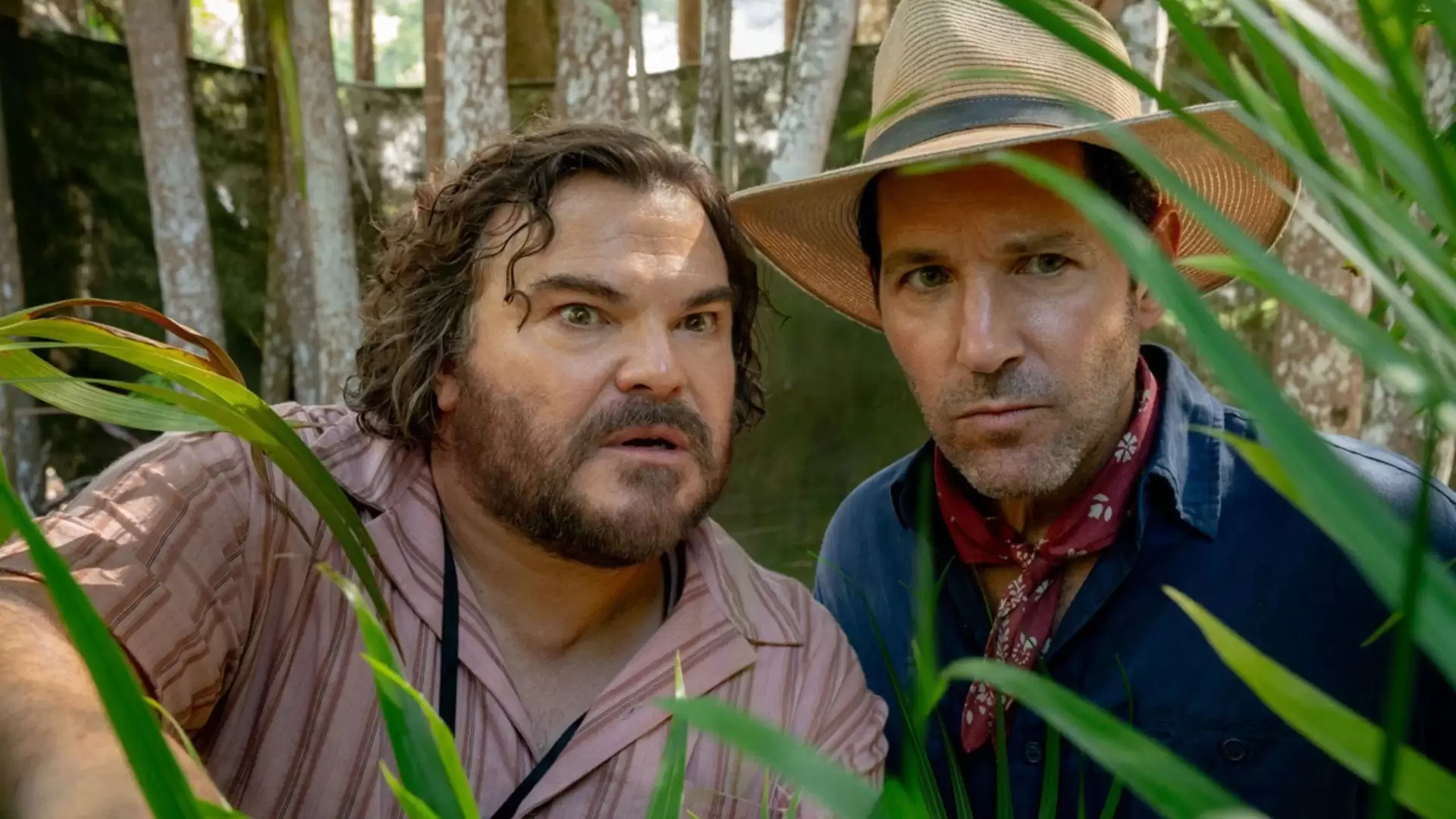 نقد فیلم آناکوندا