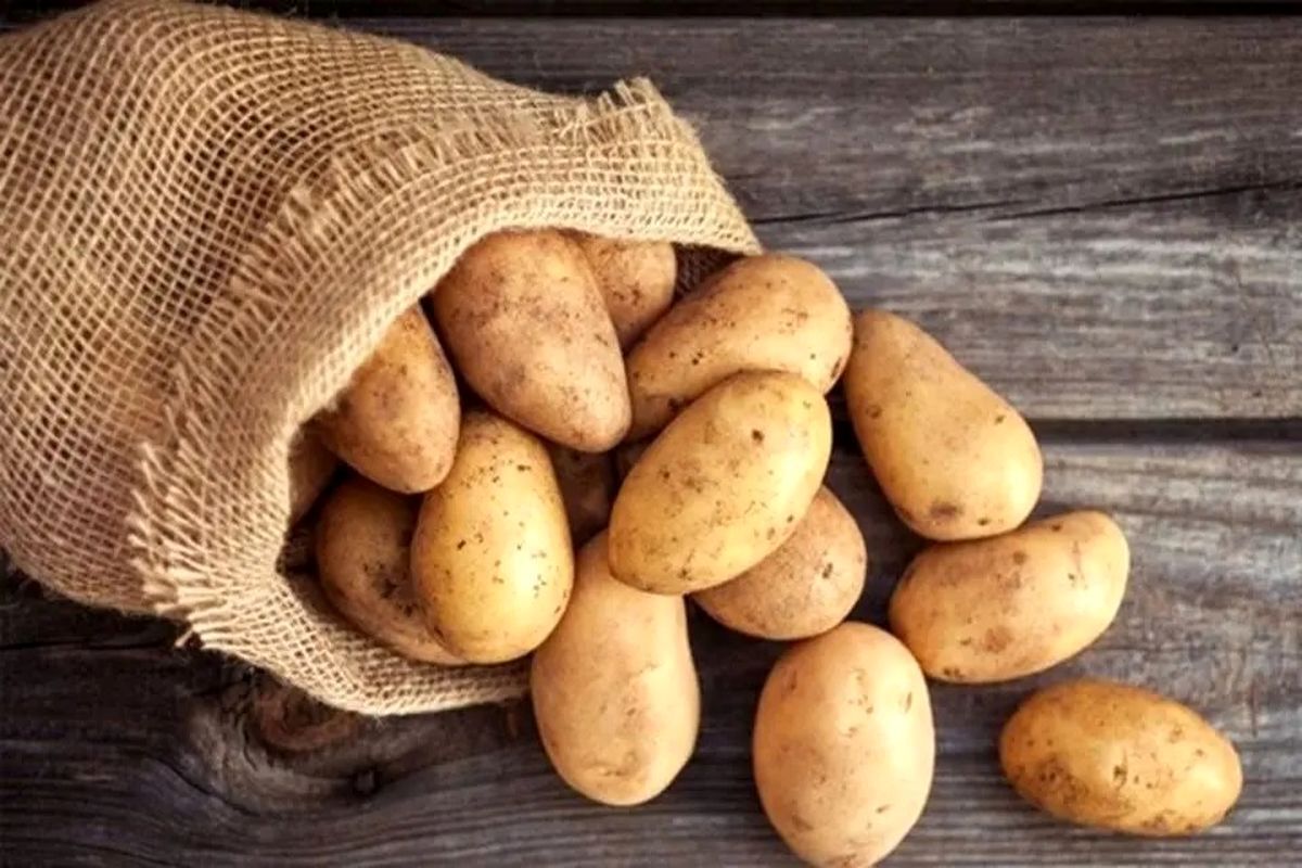 افسانههای غلط درباره سیب زمینی افسانههای غلط درباره سیب زمینی