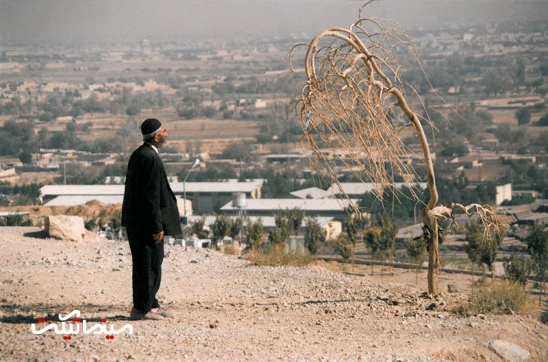 نقد و بررسی فیلم سینمایی خواب تلخ| یک کمدی سیاه گزنده