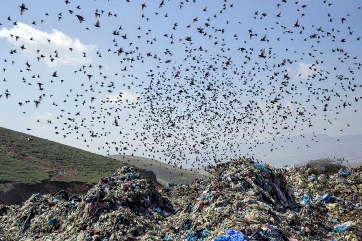 ببینید| پشت پرده بوی نامطبوع جنوب تهران چیست؟