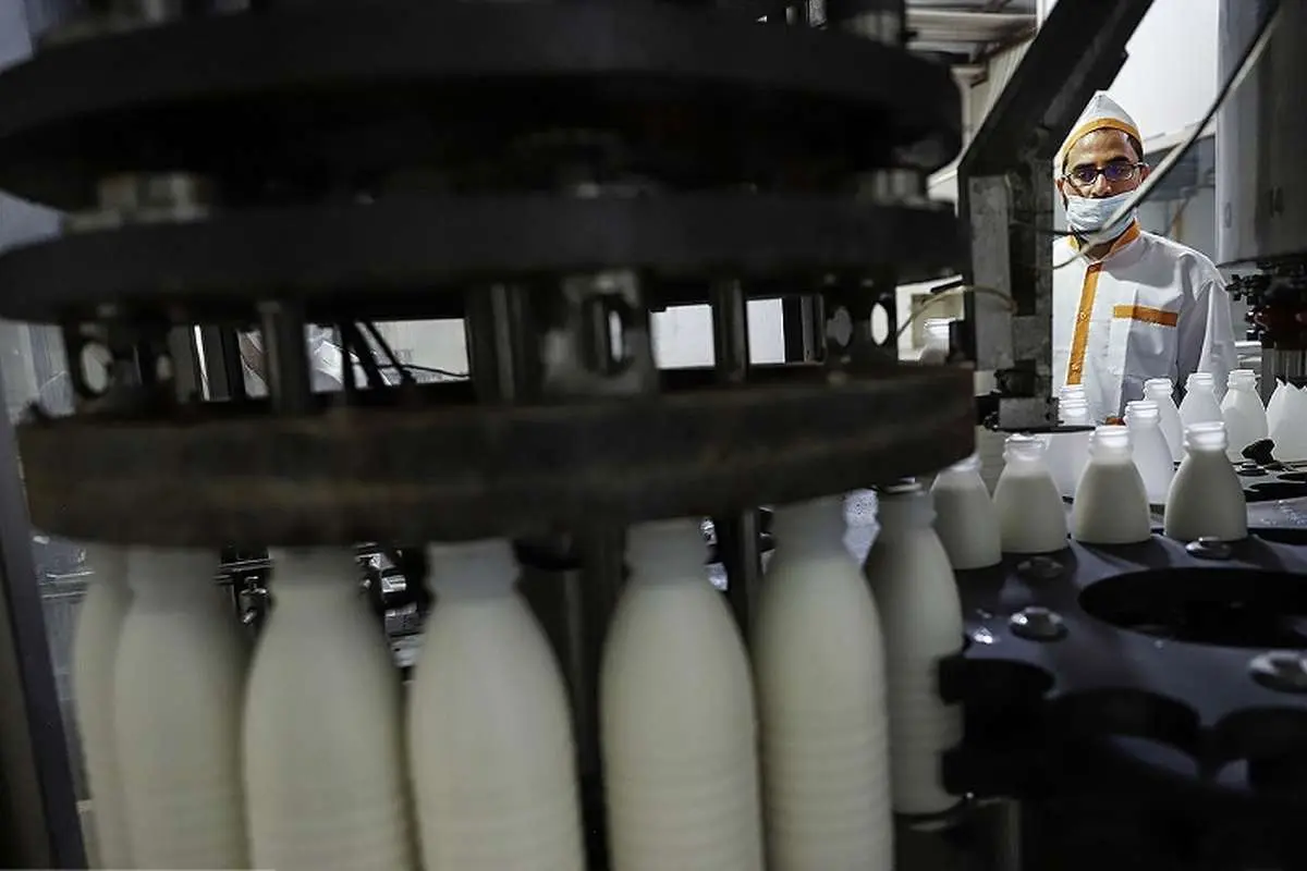 قیمت جدید شیرخام مشخص شد