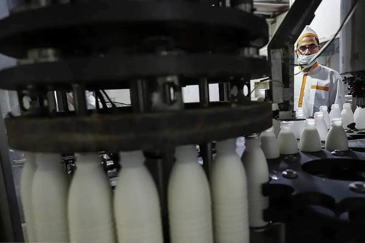 قیمت جدید شیرخام مشخص شد