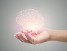 ۴ ماده غذایی برای تقویت مغز