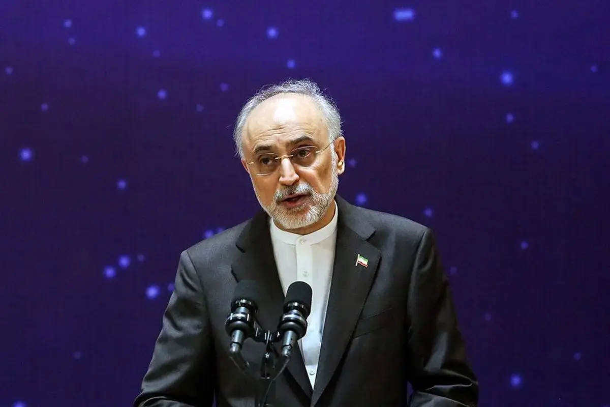 علی‌اکبر صالحی: نماد شیر و خورشید از حیث تاریخی به جمهوری اسلامی ایران تعلق دارد