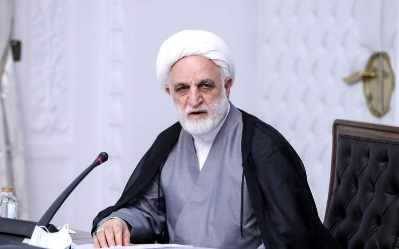 اژه‌ای: بازداشت‌شدگان فتنه اخیر در لیست عفو ۲۲بهمن قرار نمی‌گیرند