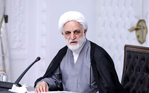 اژه‌ای: بازداشت‌شدگان فتنه اخیر در لیست عفو ۲۲ بهمن قرار نمی‌گیرند