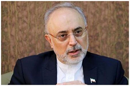 ببینید| علی‌اکبر صالحی: جنگ بعید به نظر می‌رسد