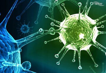 آخرین وضعیت ویروس نیپا