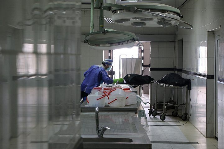 پزشک قانونی پزشک قانونی