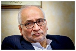 مرعشی: مادر سلطان سکه در خانه مردم کار می‌کند؛ پرسیده بود پسر ما که اعدام شد، چرا سکه گران شد؟