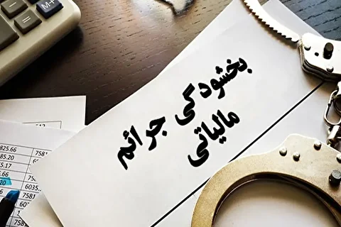 مهلت بخشودگی مالیاتی تا ۱۴ اسفند تمدید شد