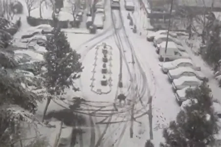 ببینید| بارش برف معابر تهران را لغزنده کرد