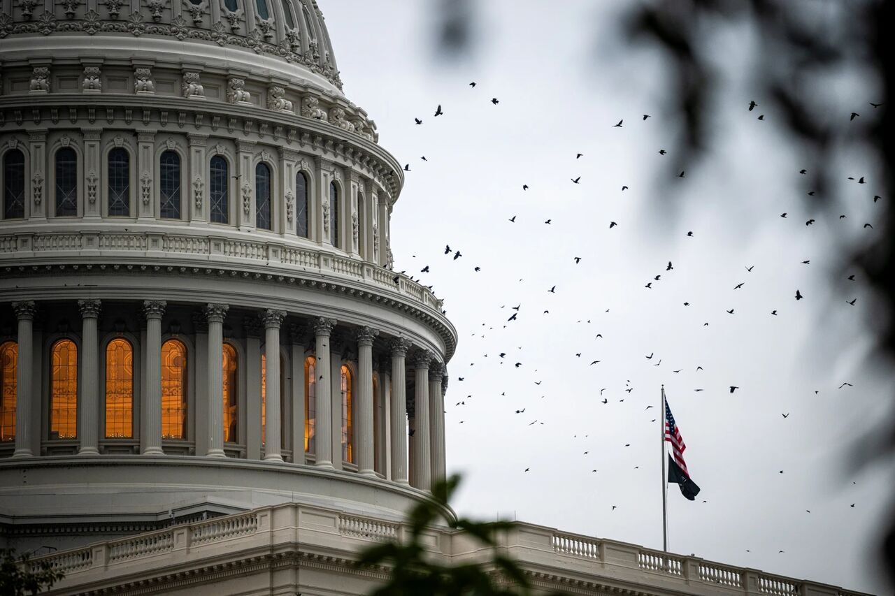 دولت آمریکا