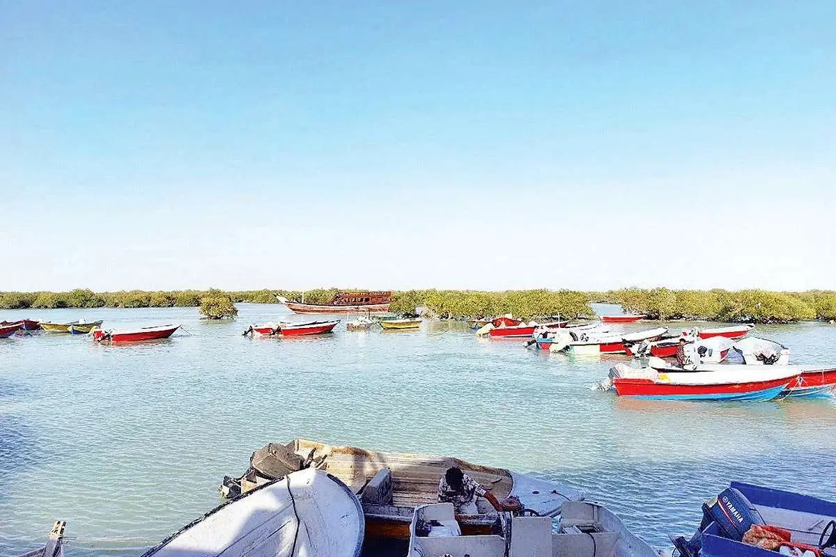 نفس آخر بومگردیها؛ لغو سفرهای رزرو شده در جنوب نفس آخر بومگردیها؛ لغو سفرهای رزرو شده در جنوب