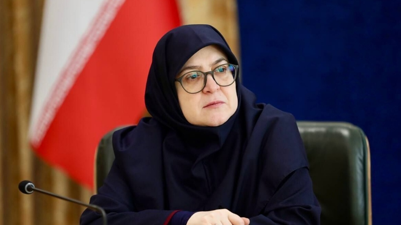 سخنگوی دولت: دولت برنامه‌ای برای مطالبه خسارت از سلبریتی‌ها ندارد