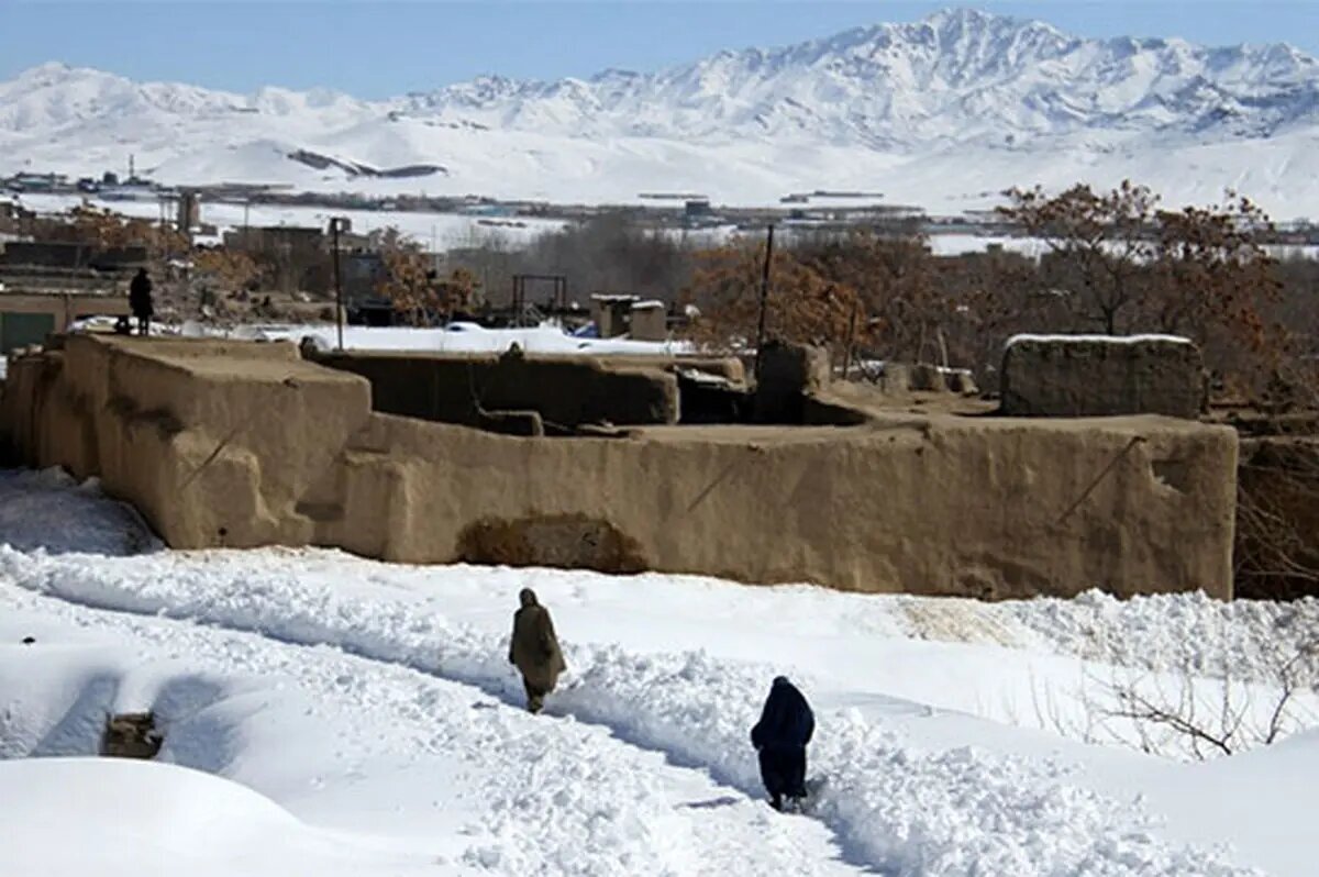 ببینید| کارزار ذخیره برف در افغانستان خبرساز شد
