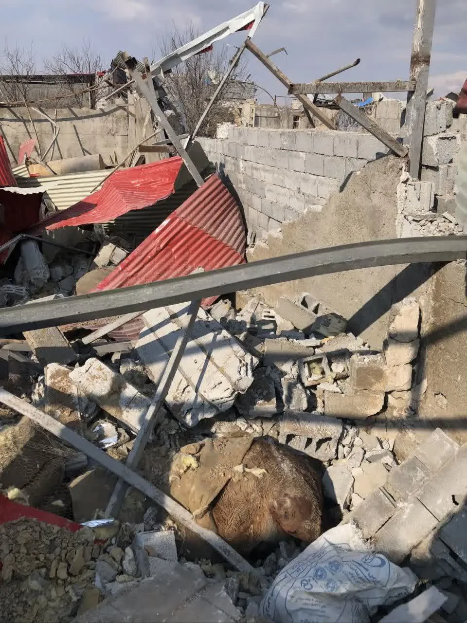 تصاویر| بمباران سوله نگهداری اسب در تبریز