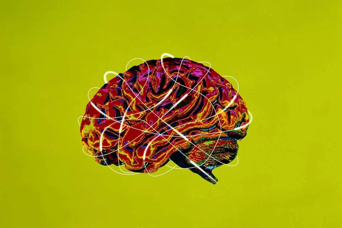 سلامت مغزتان را با سبک زندگی جراحان مغز بیمه کنید!