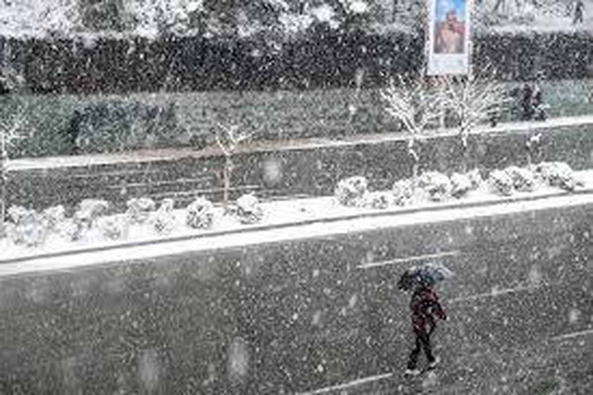 ببینید| بارش برف در تهران