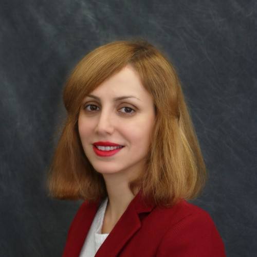 سرور و سمانه غندالی و محمدجواد خسروی | سه مهندس ایرانی بازداشت شده چه کسانی هستند؟