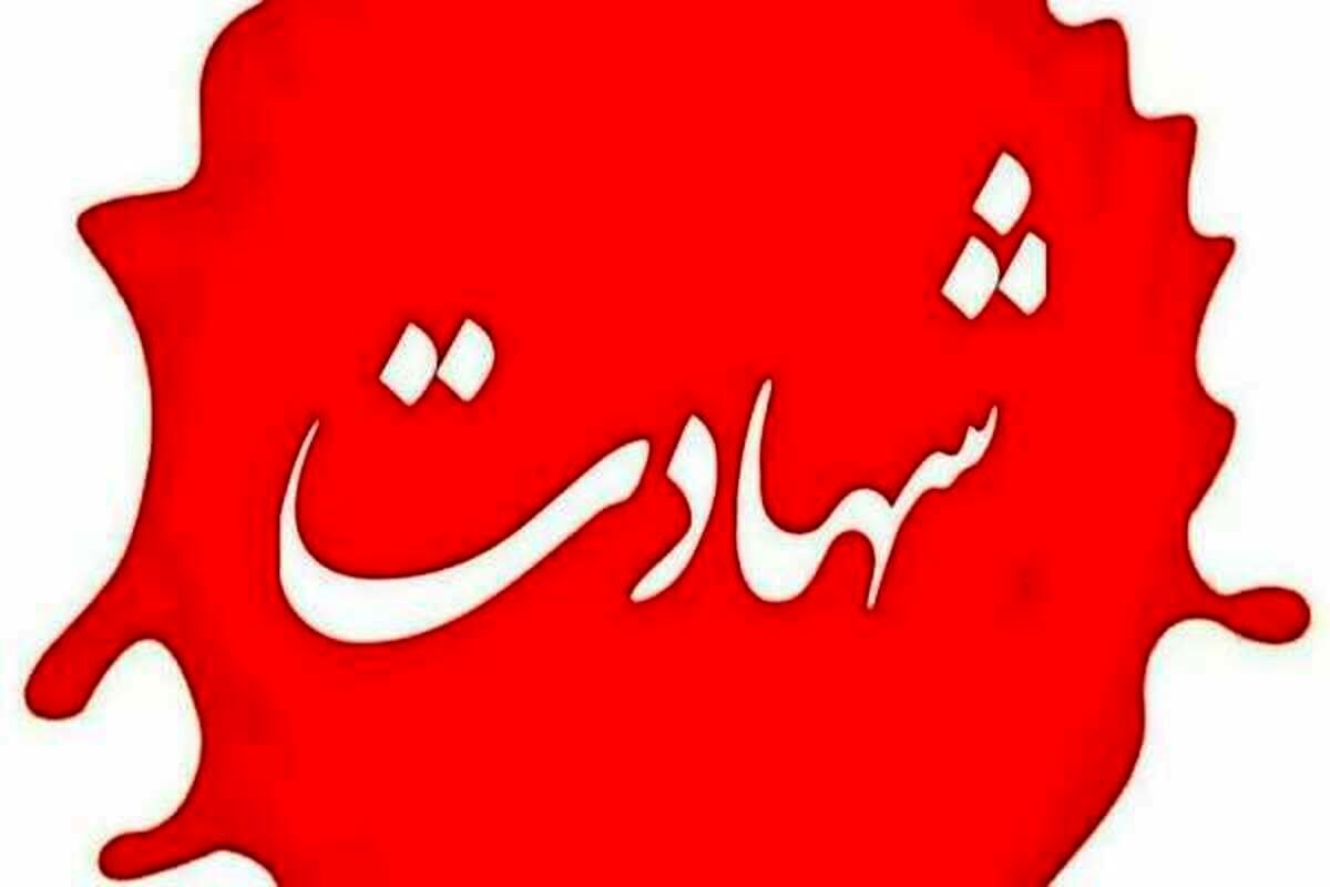 برادر سرلشکر باقری به شهادت رسید