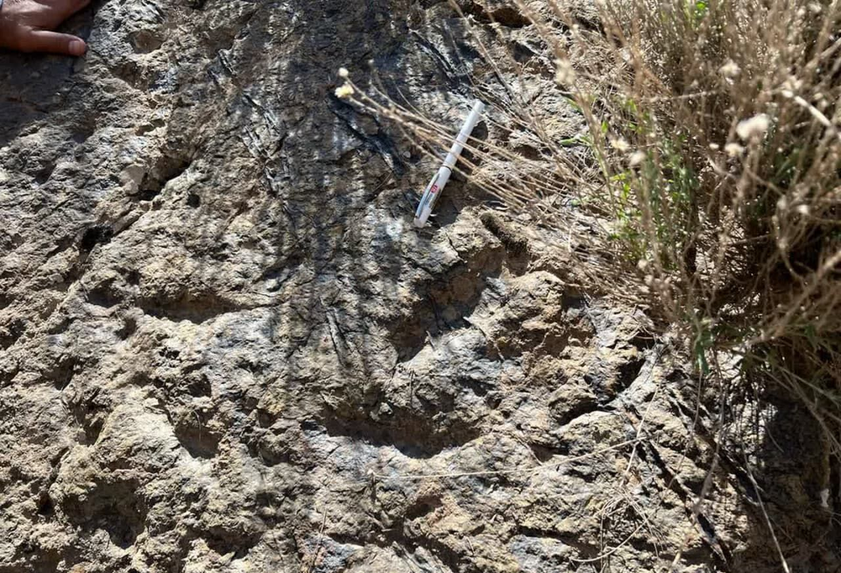 کشف ردپای ۲۰۰ میلیون ساله دایناسور‌ها در زرند!