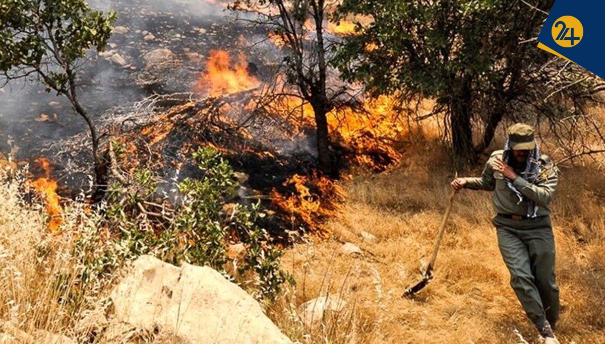 منابع طبیعی