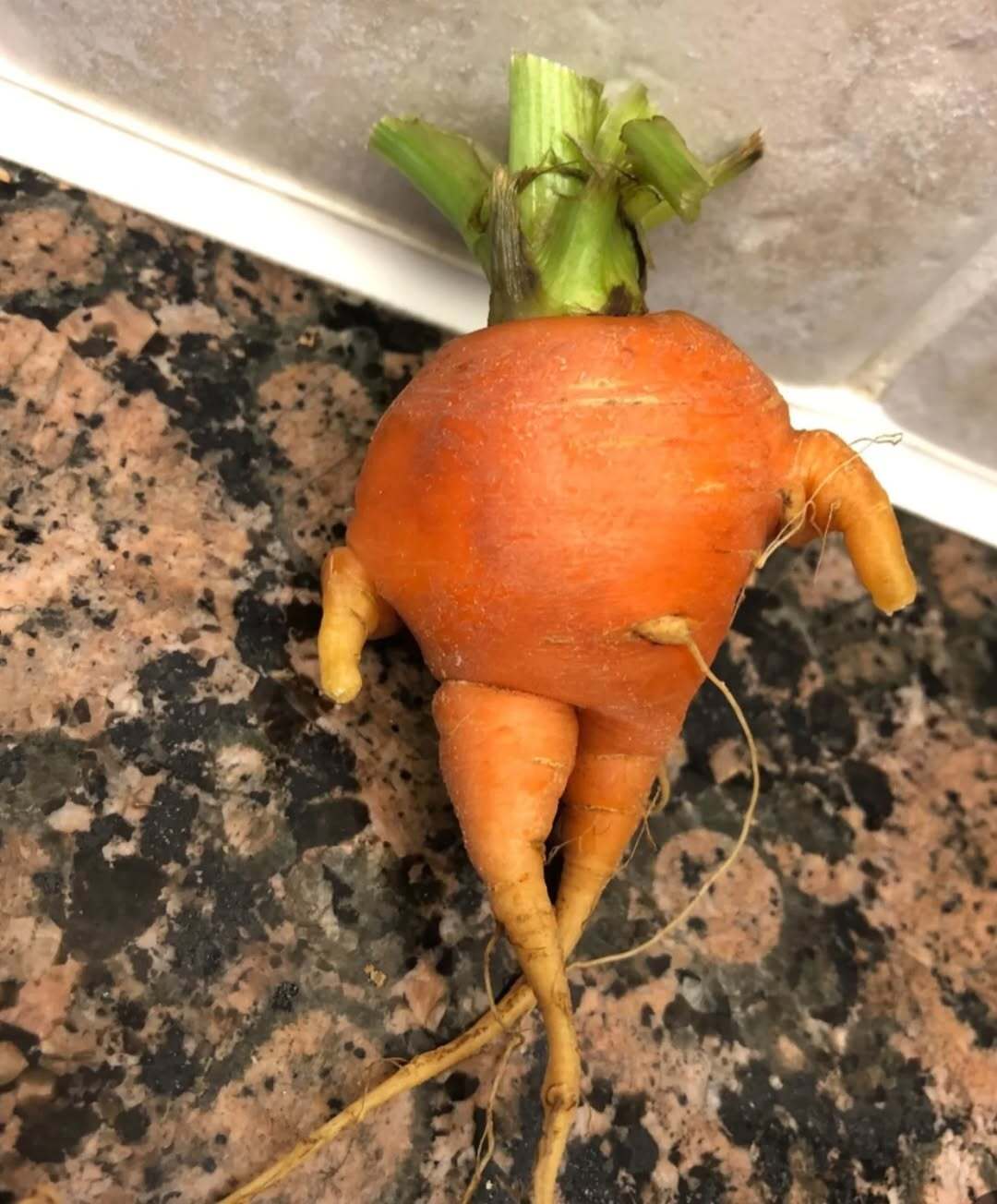 پست عجیب رضا عطاران در روز تولدش