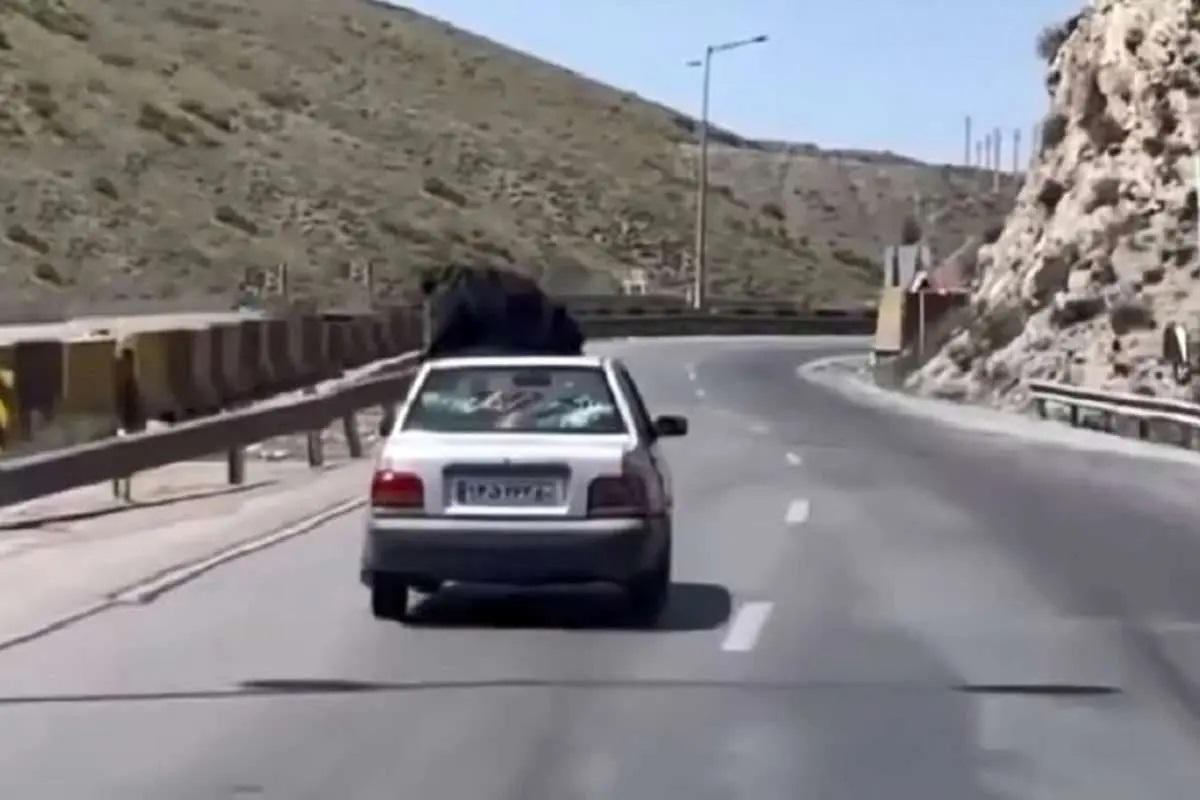 ببینید| بدلکاری یک زن روی سقف پراید! بدلکاری