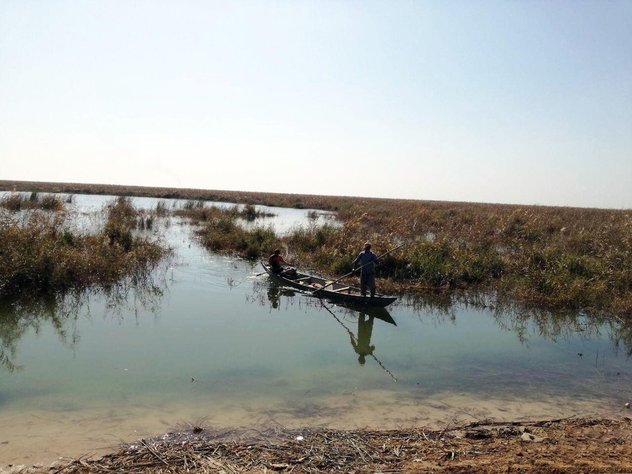 هورالعظیم در آستانه مرگ؛ نگاهی به بحران زیستمحیطی خوزستان هورالعظیم