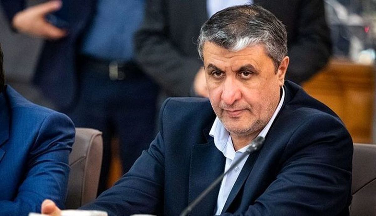 رئیس سازمان انرژی اتمی: آژانس در سال ۲۰۲۴ بیش از ۴۵۰ بازرسی انجام داد