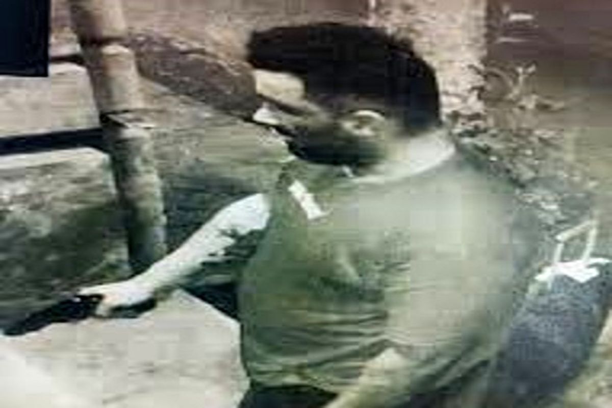 ببینید| سرقت مسلحانه از زن مسافر در شمال تهران