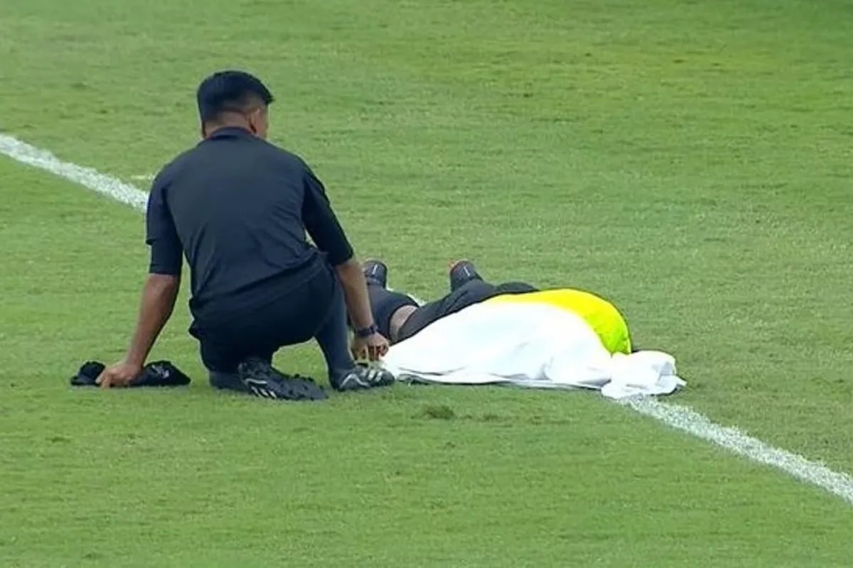 حمله زنبور‌ها به زمین فوتبالی