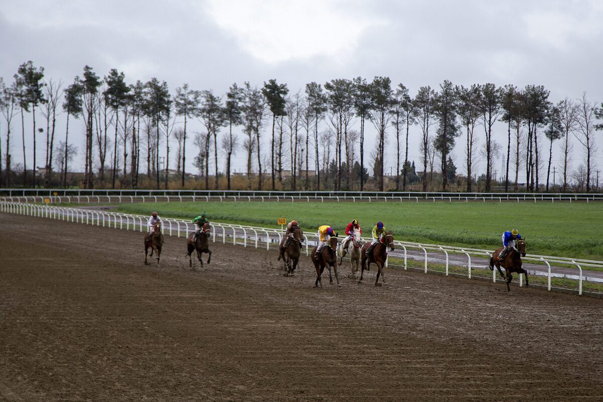 درگذشت یک سوارکار در میدان اسب دوانی