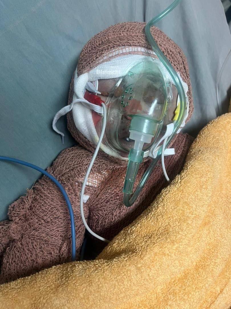 یاران قاسمیان