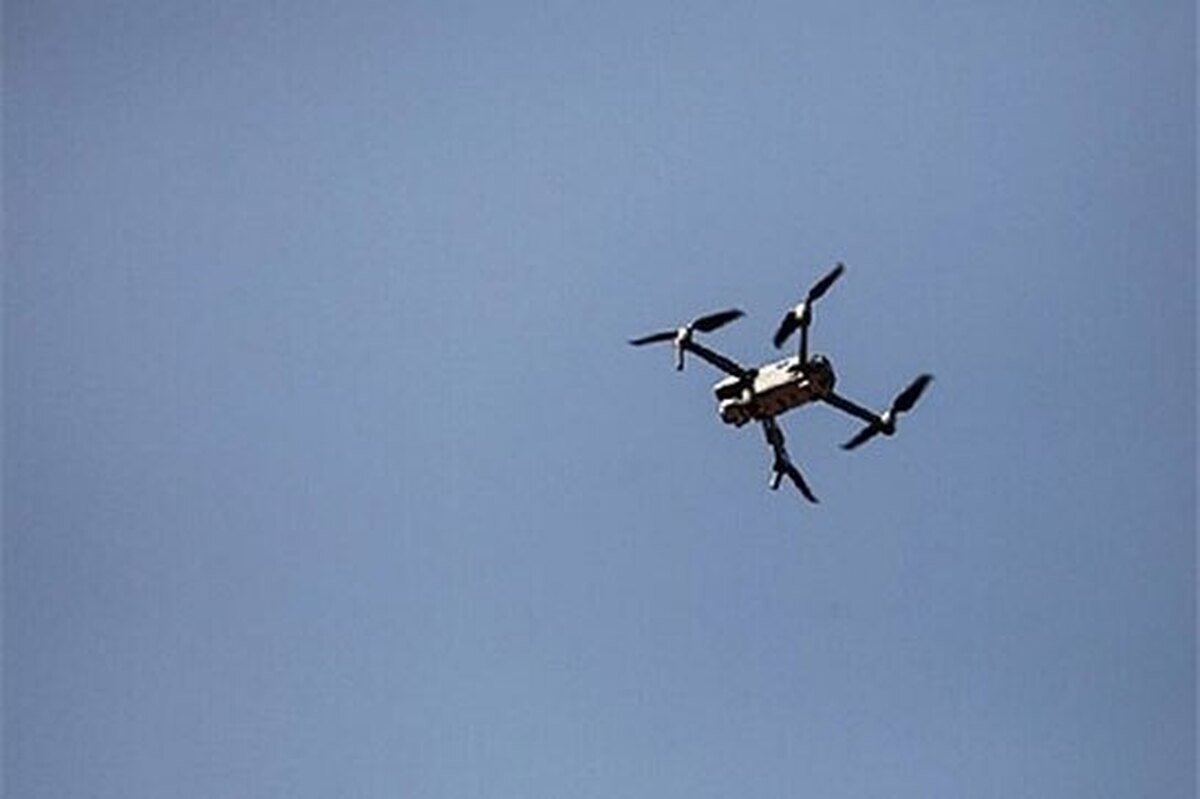 قطع اینترنت سیم‌کارت‌ها، شبکه ریزپرنده‌ها را مختل کرد