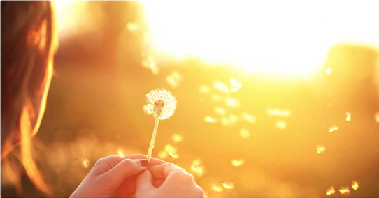 آیا امید داشتن ساده‌لوحی است؟ روان‌شناسی امید در دل واقع‌گرایی