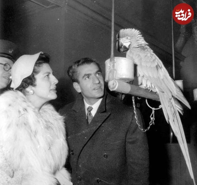 عکس کمتر دیده‌شده از ثریا و محمدرضا پهلوی درحال صحبت با طوطی در دهه ۳۰