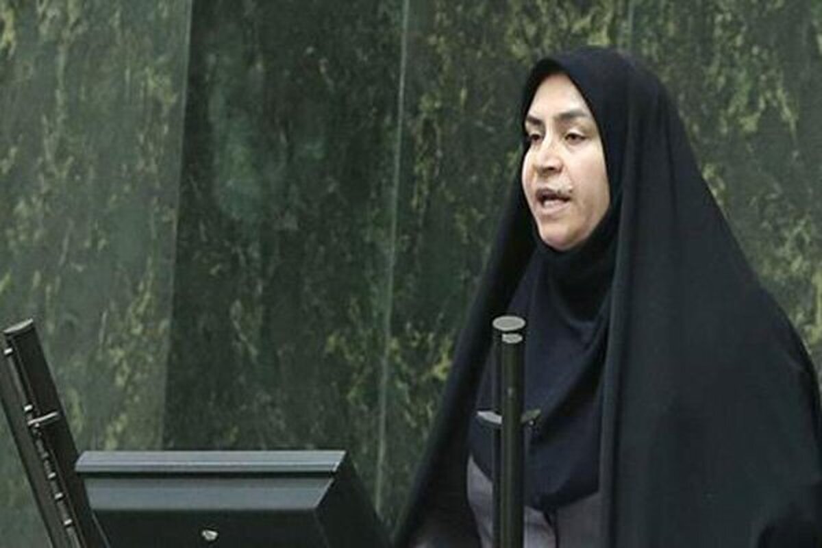 مقصودی، نماینده مجلس: بسیاری از عاملان اسرائیل در بازار طلا و ارز شناسایی و دستگیر شدند