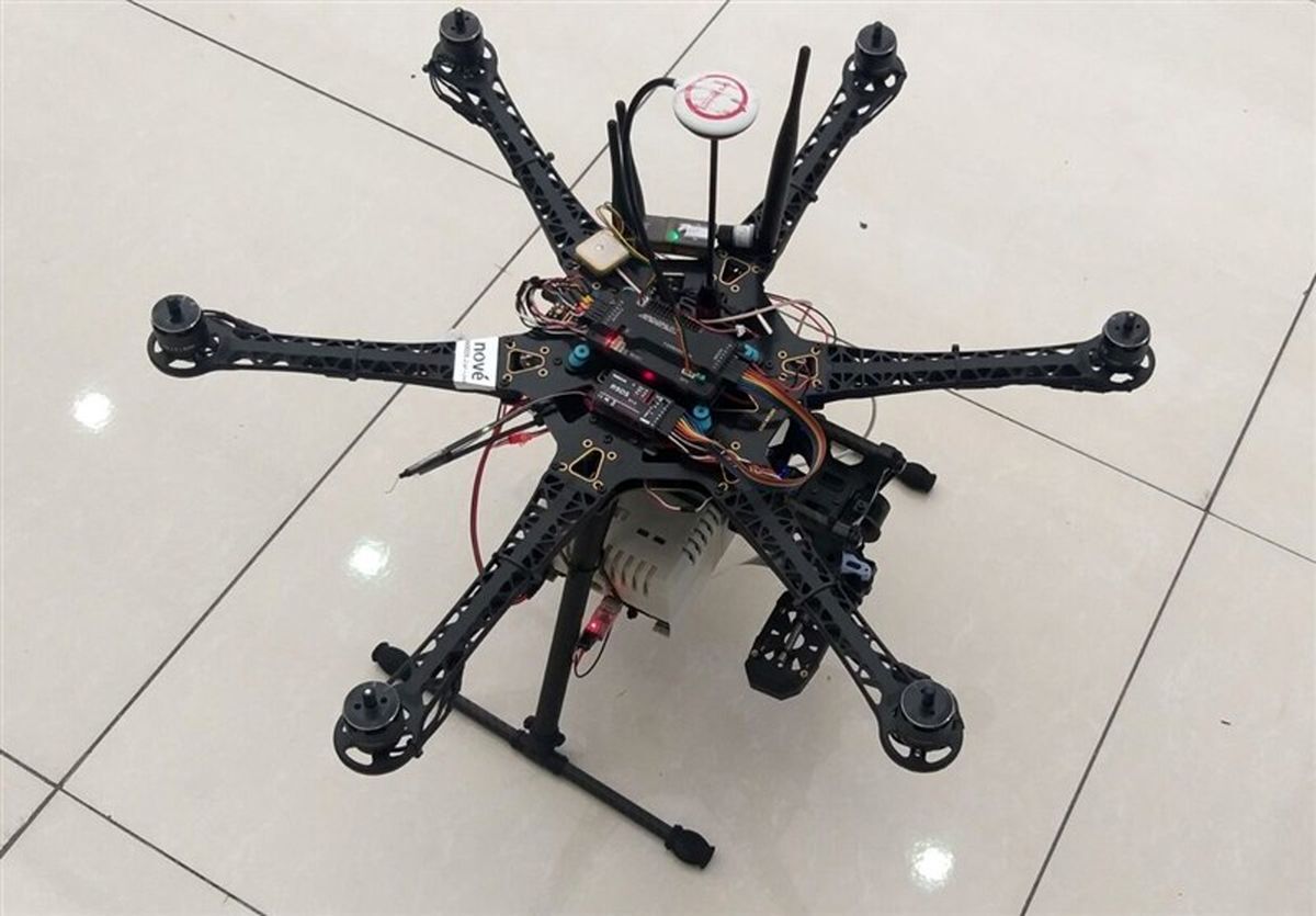 کشف شمار زیادی ریزپرنده در استان بوشهر