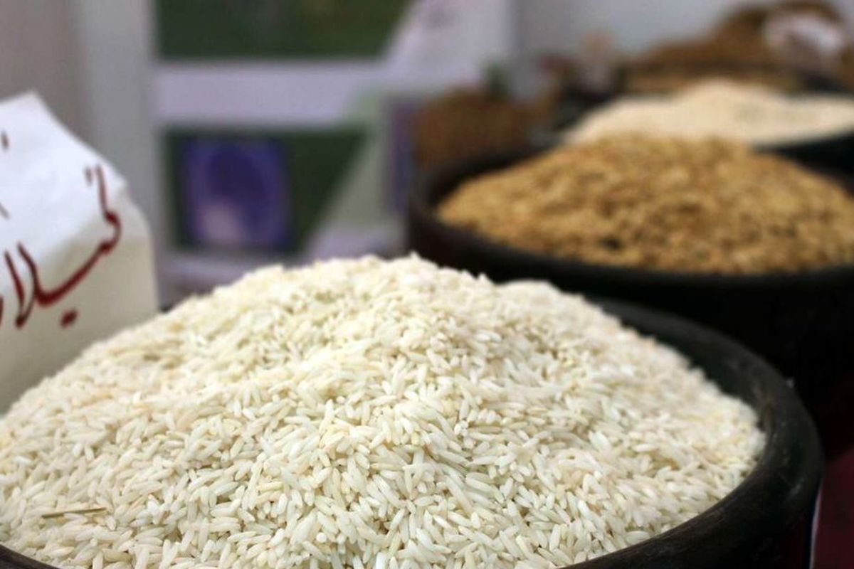 قیمت برنج چه زمانی ارزان می‌شود؟