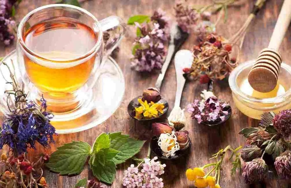 خواص دمنوش گل خار مریم|  مفید برای آرامش تا بهبود گوارش