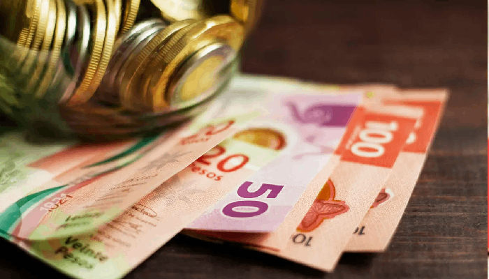 مهاجرت به کانادا چقدر هزینه دارد؟