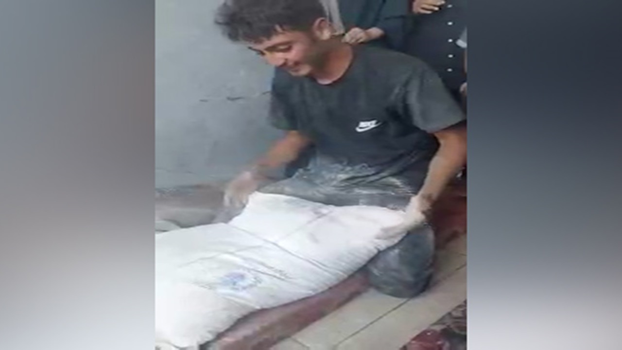 ببینید| خوشحالی یک خانواده فلسطینی با یک کیسه آرد