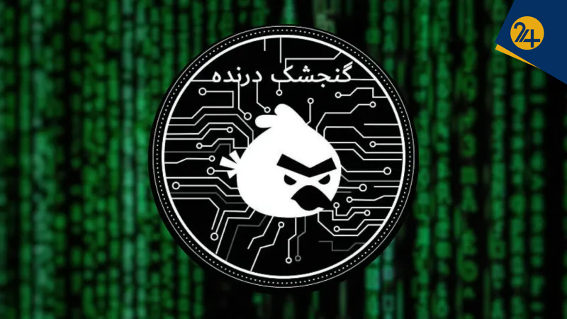 گنجشک درنده چگونه بر بام فضای سایبری کشور نشست؟ | توضیحات یک هکر سابق درباره عمق فاجعه حملات سایبری در ایران