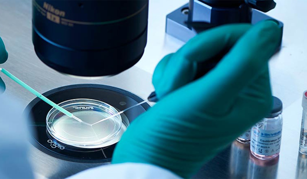 آخرین اخبار از گمشدن جنینها در بیمارستان آبان تهران | بررسی قضایی پرونده آغاز شد جنین فریز شده